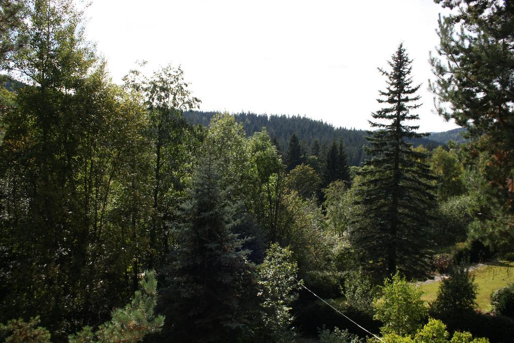 Konvalinka - Ubytovani V Soukromi Harrachov Exterior foto